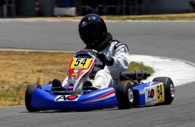 01 & 02/07/2006 : Coupe de France Formule FFSA à Layrac (Photos Patrick Lascombes) 2006 — karting