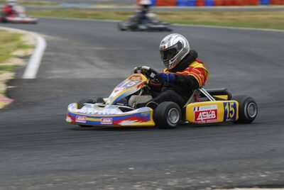 08 & 09/07/2006 : Trophée KartMag à Salbris (Photos Patrick Lascombes) 2006 — karting