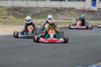 08 & 09/07/2006 : Trophée KartMag à Salbris (Photos Patrick Lascombes) 2006 — karting
