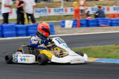 08 & 09/07/2006 : Trophée KartMag à Salbris (Photos Patrick Lascombes) 2006 — karting