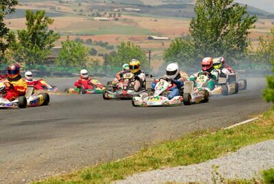 Circuit Karting Plus - Belmont sur Rance — 29 et 30 /07/2006 : Coupe de France N100 à Belmont sur Rance (Photos Patrick Lascombes) 2006 — karting
