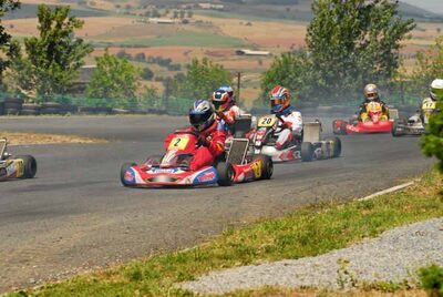 29 et 30 /07/2006 : Coupe de France N100 à Belmont sur Rance (Photos Patrick Lascombes) 2006 — karting