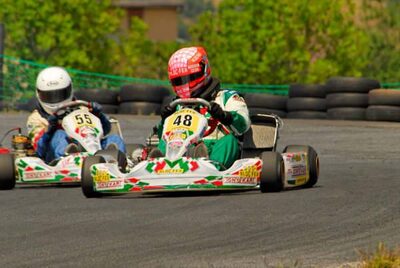 29 et 30 /07/2006 : Coupe de France N100 à Belmont sur Rance (Photos Patrick Lascombes) 2006 — karting