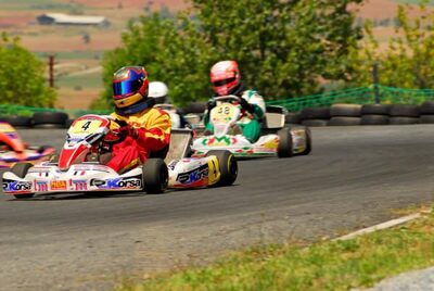 29 et 30 /07/2006 : Coupe de France N100 à Belmont sur Rance (Photos Patrick Lascombes) 2006 — karting
