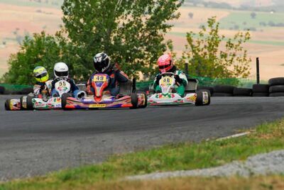 29 et 30 /07/2006 : Coupe de France N100 à Belmont sur Rance (Photos Patrick Lascombes) 2006 — karting