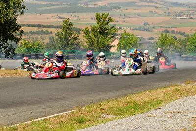 29 et 30 /07/2006 : Coupe de France N100 à Belmont sur Rance (Photos Patrick Lascombes) 2006 — karting