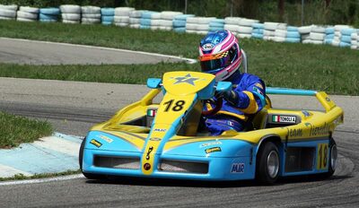 10/06/2007 : Trophée International des Pyrénées – El Pla (Photos Olivier Cèbe) 2007 — karting