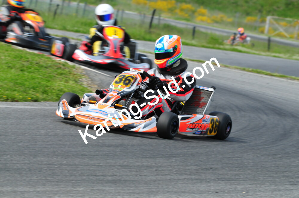 DSC_2516.JPG