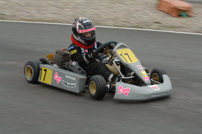 18/05/2008 : 1ère manche du Trophée des Circuits à Lavelanet (Photos Patrick Lascombes) 2008 — karting