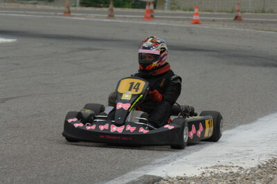 18/05/2008 : 1ère manche du Trophée des Circuits à Lavelanet (Photos Patrick Lascombes) 2008 — karting