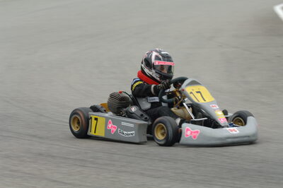 18/05/2008 : 1ère manche du Trophée des Circuits à Lavelanet (Photos Patrick Lascombes) 2008 — karting
