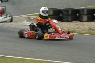 08/06/2008 : 2ème manche du Trophée Garcia à Layrac (Photos Patrick Lascombes) 2008 — karting