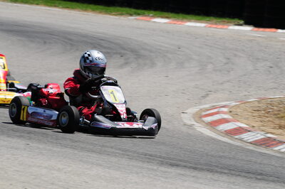 22/06/2008 : Trophée des Circuits 2/5 Carcassonne (Photos Julien Dejean) 2008 — karting