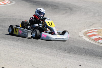 22/06/2008 : Trophée des Circuits 2/5 Carcassonne (Photos Julien Dejean) 2008 — karting