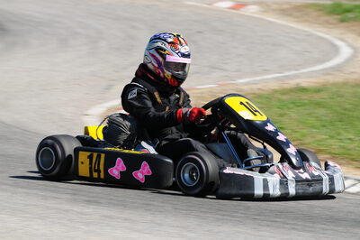 22/06/2008 : Trophée des Circuits 2/5 Carcassonne (Photos Julien Dejean) 2008 — karting