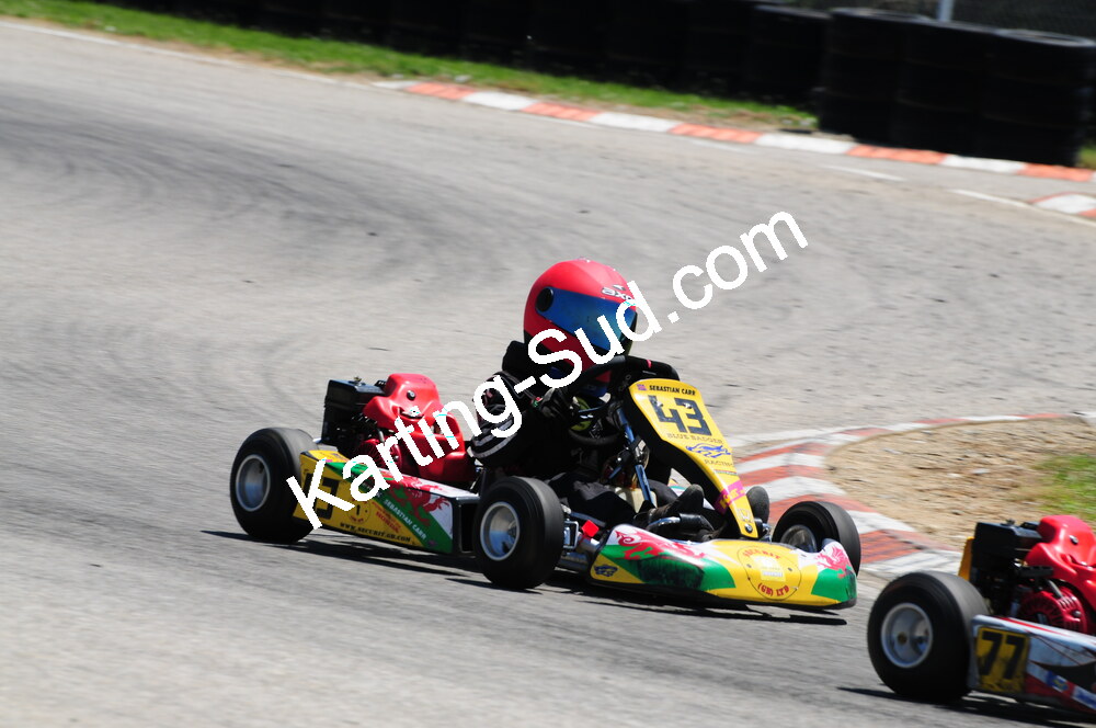 DSC_3250.JPG