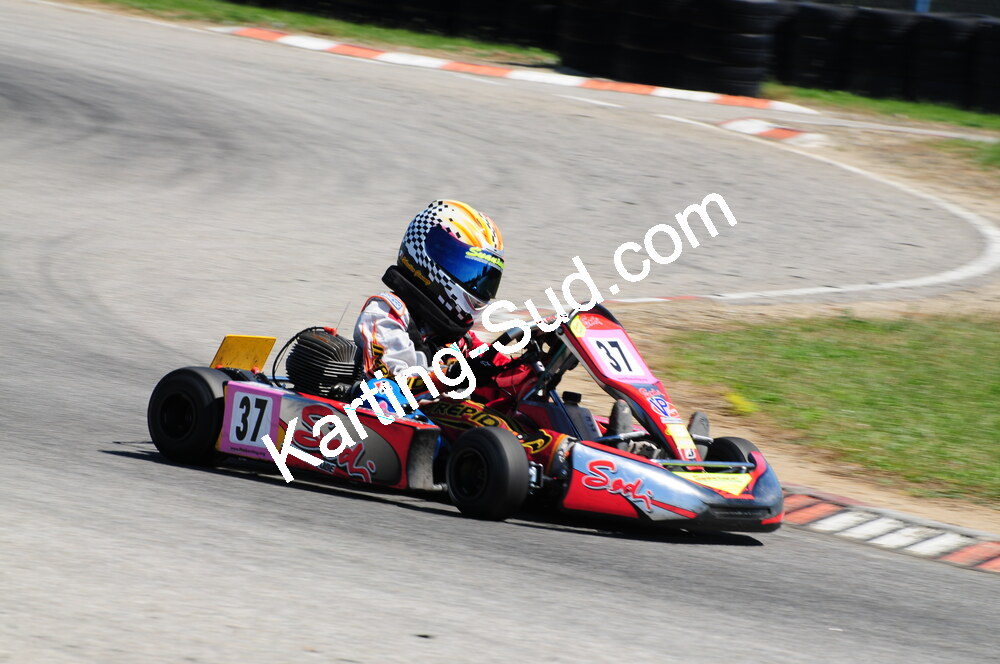 DSC_3532.JPG