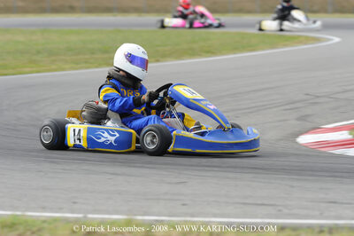 19 - 20/07/2008 : Coupe de France Formule FFSA Jeunes et FFSA à Muret (Photos Patrick Lascombes) 2008 — karting