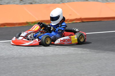 26 - 27/07/2008 : Challenge International 2.4 à Andorre (Photos Patrick Lascombes) 2008 — karting
