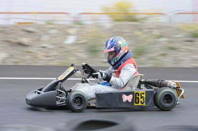 26 - 27/07/2008 : Challenge International 2.4 à Andorre (Photos Patrick Lascombes) 2008 — karting