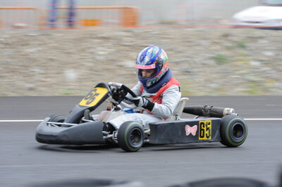 26 - 27/07/2008 : Challenge International 2.4 à Andorre (Photos Patrick Lascombes) 2008 — karting