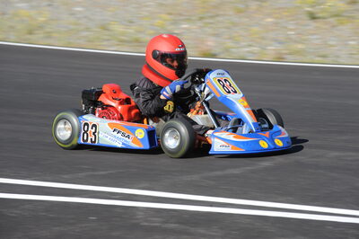 26 - 27/07/2008 : Challenge International 2.4 à Andorre (Photos Patrick Lascombes) 2008 — karting