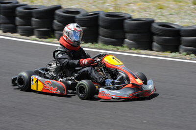 26 - 27/07/2008 : Challenge International 2.4 à Andorre (Photos Patrick Lascombes) 2008 — karting