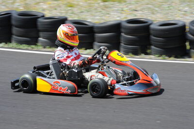 26 - 27/07/2008 : Challenge International 2.4 à Andorre (Photos Patrick Lascombes) 2008 — karting