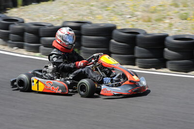26 - 27/07/2008 : Challenge International 2.4 à Andorre (Photos Patrick Lascombes) 2008 — karting