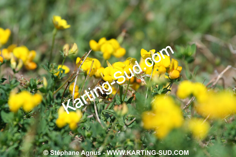 IMG_8971.JPG