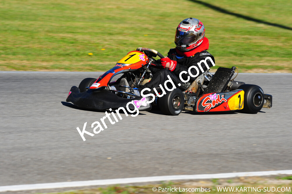 26/10/2008 : Trophée Vincent Sanchez 2/2 à Lavelanet (photos Patrick Lascombes) 2008 — karting