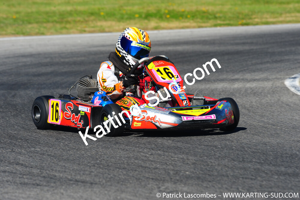 DSC_5999.JPG