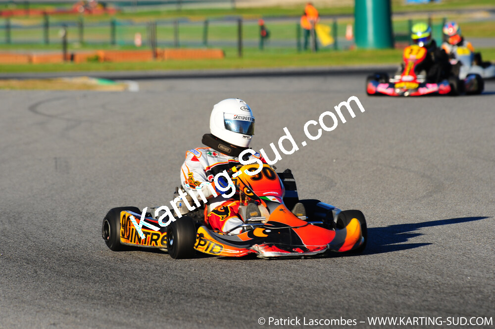 DSC_6522.JPG