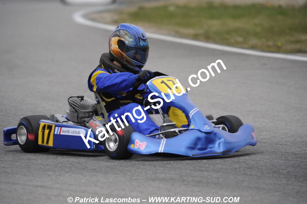 15/03/2009 : Trophée Vincent Sanchez à Lavelanet (photos Patrick Lascombes) 2009 — karting