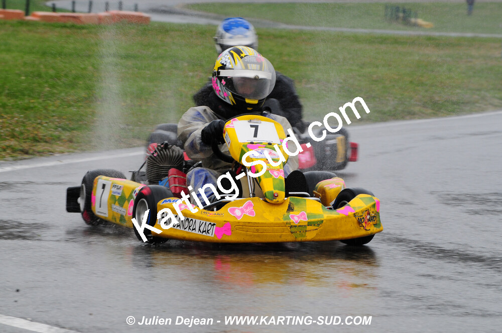 12/04/2009 : 1ère manche du Championnat Sud et 1ère manche du Championnat Régional Languedoc-Roussillon à Lavelanet (photos Julien Dejean) 2009 — karting