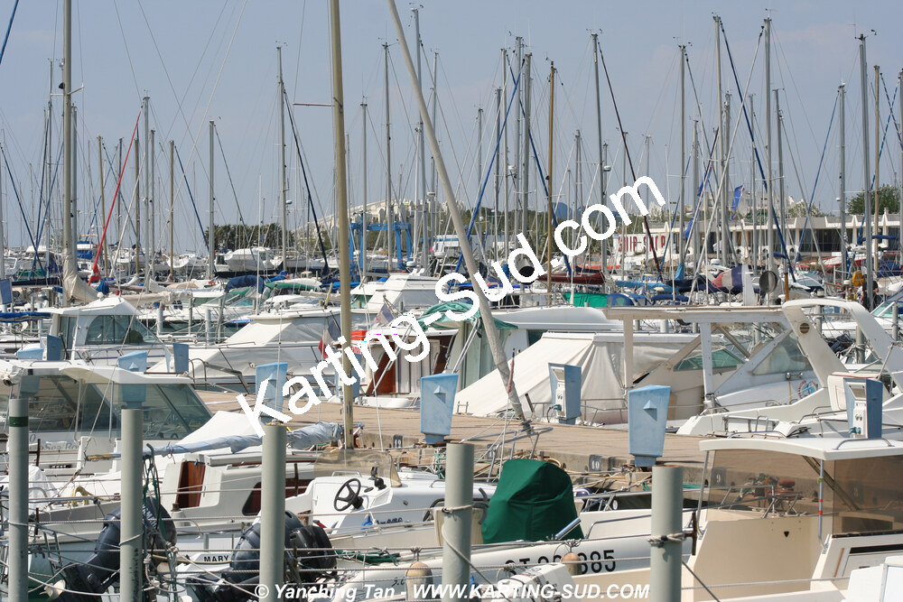 IMG_4565.JPG