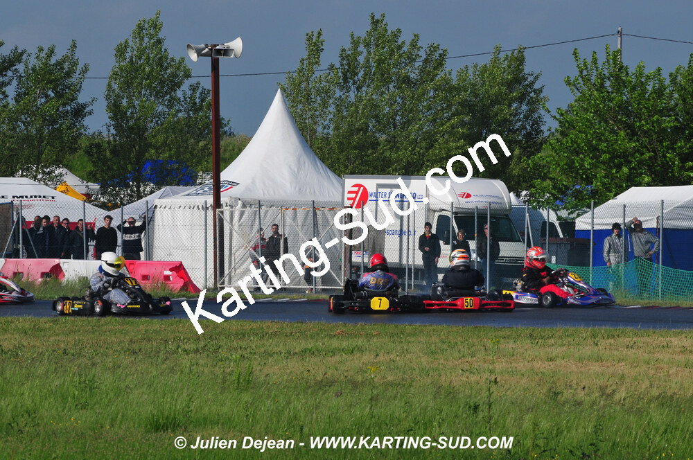DSC_3317.JPG