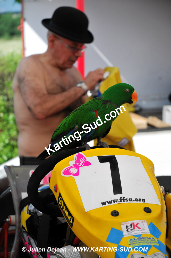 31/05/2009 : 3ème manche du Championnat du Sud 2009 à Belmont sur Rance (photos Julien Dejean) 2009 — karting