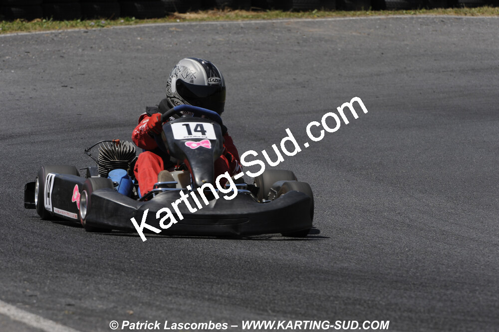 31/05/2009 : 3ème manche du Championnat du Sud 2009 à Belmont sur Rance (photos Patrick Lascombes) 2009 — karting