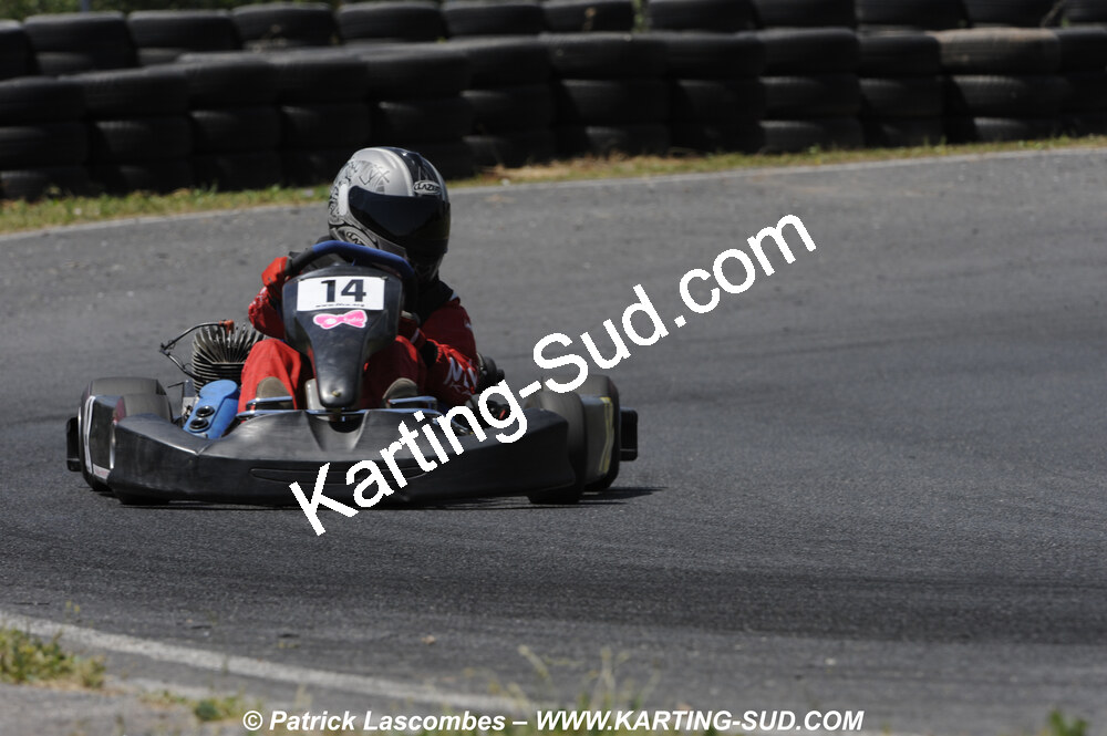 31/05/2009 : 3ème manche du Championnat du Sud 2009 à Belmont sur Rance (photos Patrick Lascombes) 2009 — karting