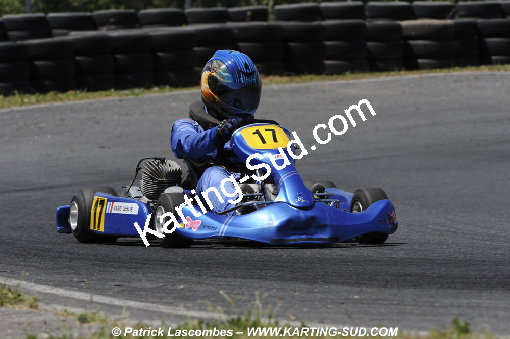 31/05/2009 : 3ème manche du Championnat du Sud 2009 à Belmont sur Rance (photos Patrick Lascombes) 2009 — karting
