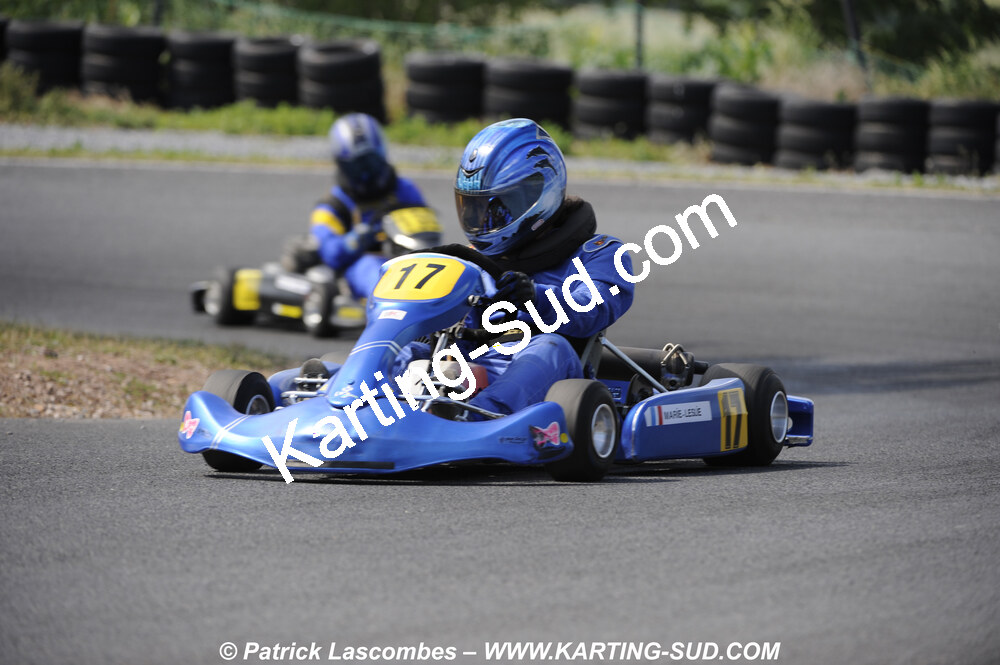 31/05/2009 : 3ème manche du Championnat du Sud 2009 à Belmont sur Rance (photos Patrick Lascombes) 2009 — karting