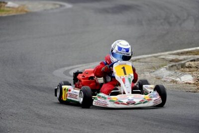14/06/2009 : 4ème manche du Championnat Régional Aquitain à Layrac (photos Patrick Lascombes) 2009 — karting