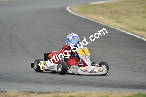 14/06/2009 : 4ème manche du Championnat Régional Aquitain à Layrac (photos Patrick Lascombes) 2009 — karting