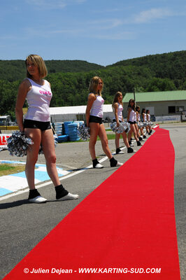 26 - 28/06/2009 : International Bruno Grana Trophy à Lavelanet (photos Julien Dejean) 2009 — karting