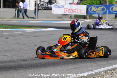 26 - 28/06/2009 : International Bruno Grana Trophy à Lavelanet (photos Julien Dejean) 2009 — karting