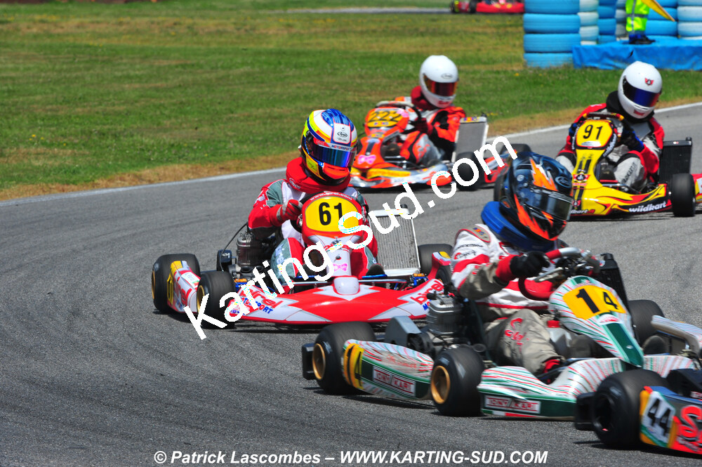 DSC_1119.JPG