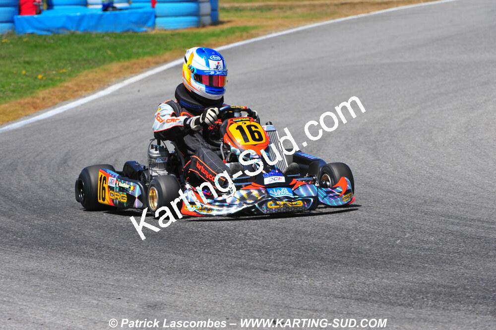 DSC_1419.JPG