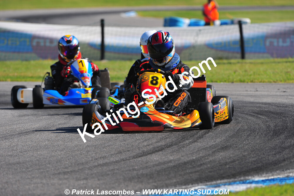 DSC_2355.JPG