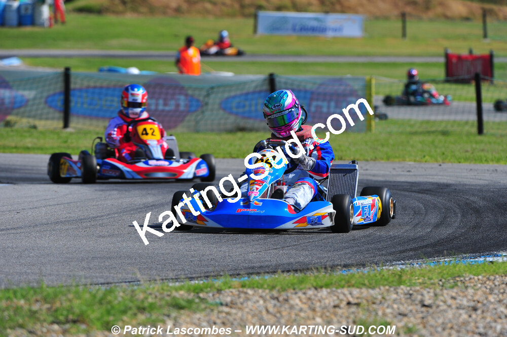 DSC_2447.JPG